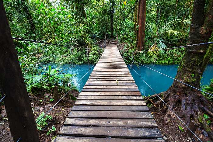 Suspension bridge in the jungle in Costa Rica.