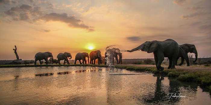 Custom kosher travel - Gaya Tours Safari.