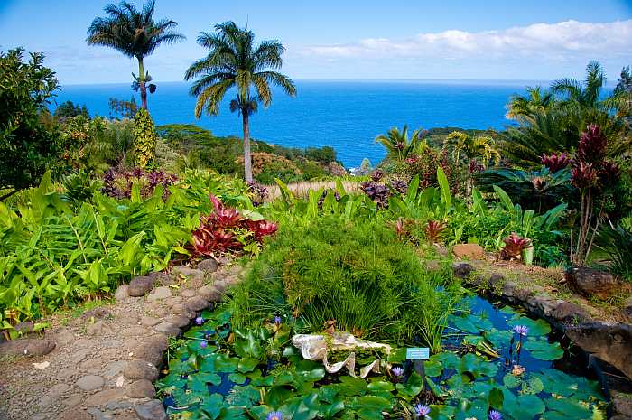 Garden of Eden in Maui, Hawaii.