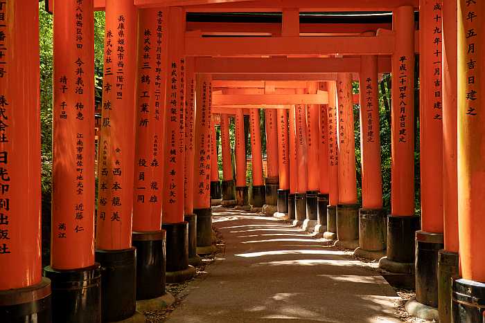 Torii gates at Fushimi Inari Taisha in Kyoto, Japan.