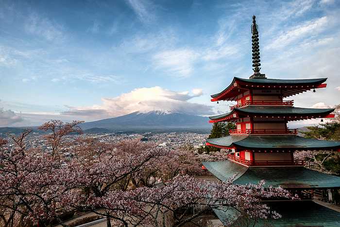 organized kosher tours to Japan.