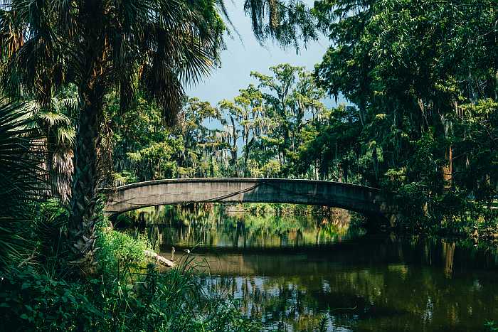 City Park in New Orleans. 