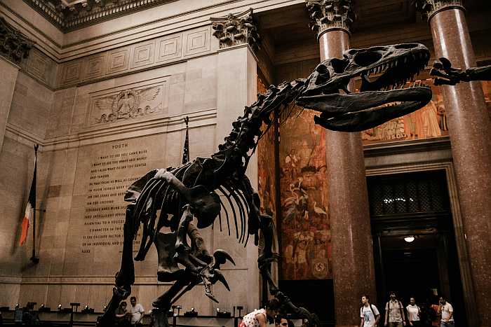 kosher guide to NYC - Museum of natural history.