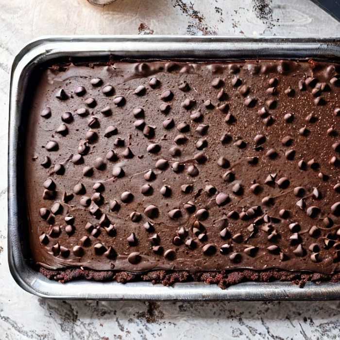 Kosher for Passover chocolate cake.