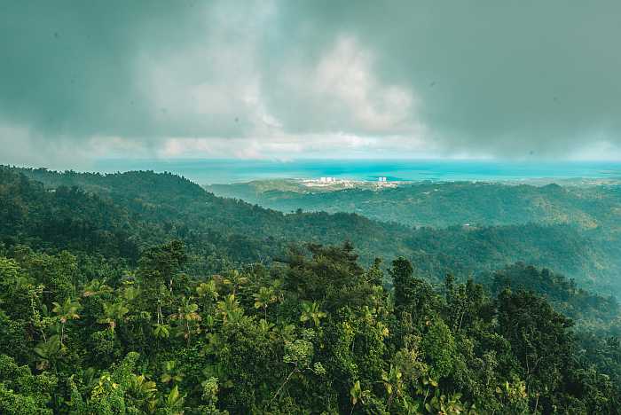 El Yunque rainforest - Puerto Rico.