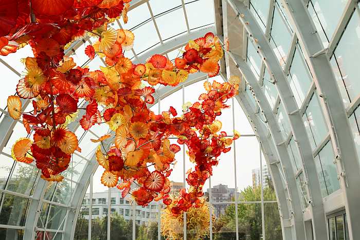 Chihuly Garden and Glass museum in Seattle.