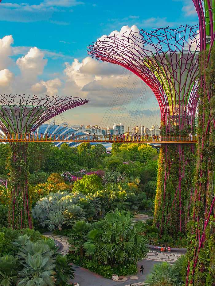 Supertree Grove at Gardens by the Bay in Singapore.