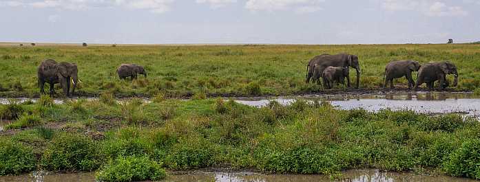 South Africa safari for summer vacation.