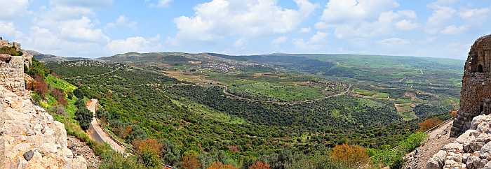 Summer vacation in Israel.