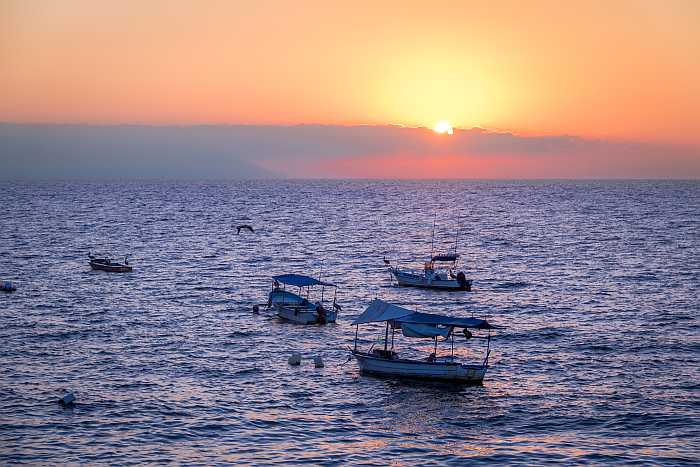 west coast passover program - puerto vallarta.